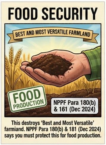 Food Security Infographic